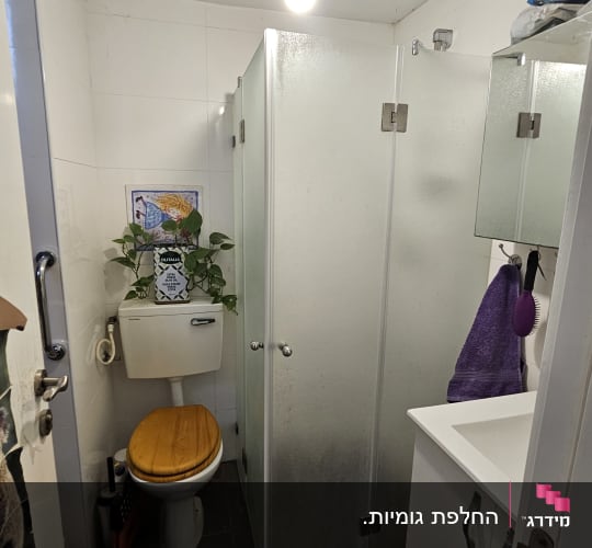 מקלחון זכוכית בחדר אמבטיה עם כיור ושירותים